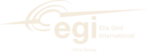 Logo EGI group