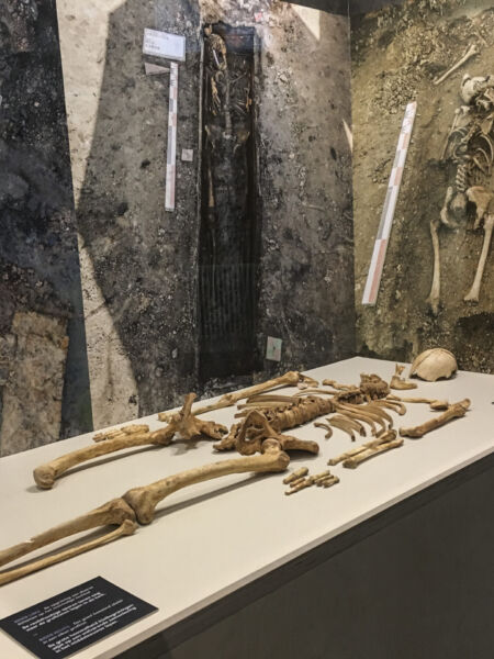 Skelet op Expo Graven in de Stad