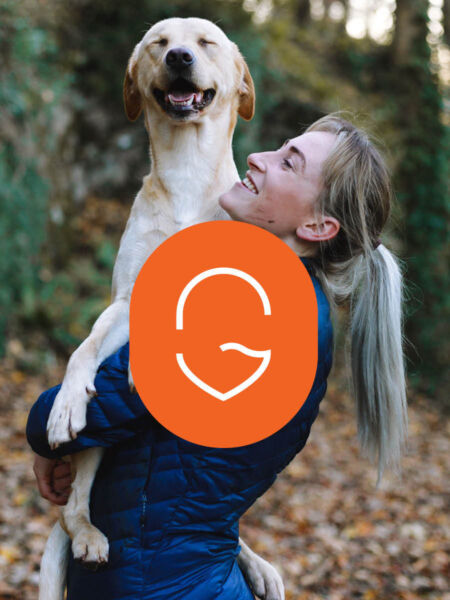 Beeld van hond met logo Gavere
