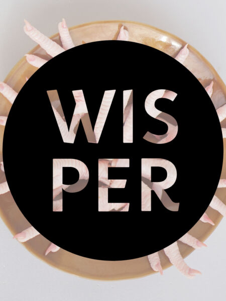 WISPER logo op achtergrond