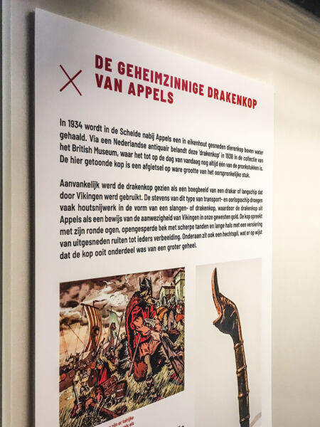 Drakenkop in kast op ExpoSure in stadsmuseum Dendermonde